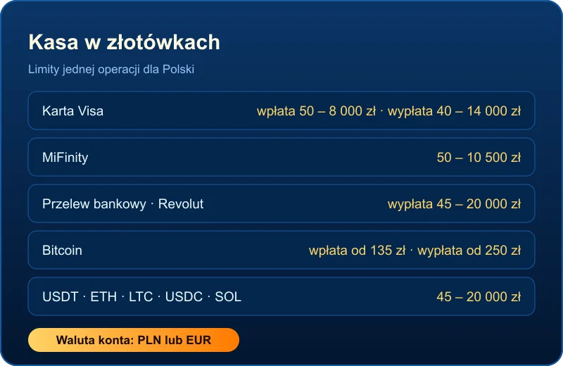 Casino DudeSpin – metody wpłat i wypłat w złotówkach z limitami